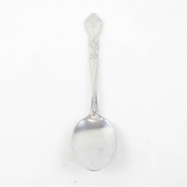 Stanley Roberts Kings Berry Pattern 18/8 SS Serving Spoon 8.25" Rare HTF Piece