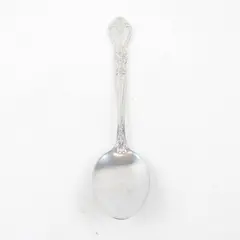 Stanley Roberts Kings Berry Pattern 18/8 SS Serving Spoon 8.25" Rare HTF Piece