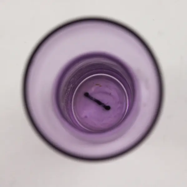 Purple Handblown Art Glass Vase Suspended Bubble Design Collectible