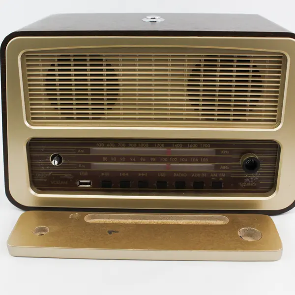 Geriguard One Button AM-FM Radio For People W/ Memory Vision Dexterity Challenge