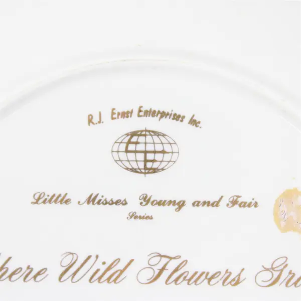 Where Wild Flowers Grow Alan Murray Collector Decorative Plate Pre-Owned