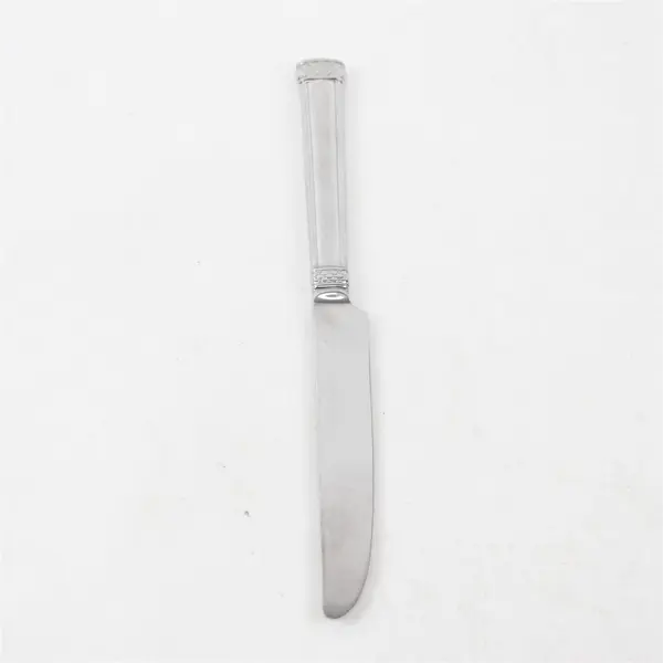 Waterford Padova Pattern 18/10 SS Solid Dinner Knife 9.5" Long Good