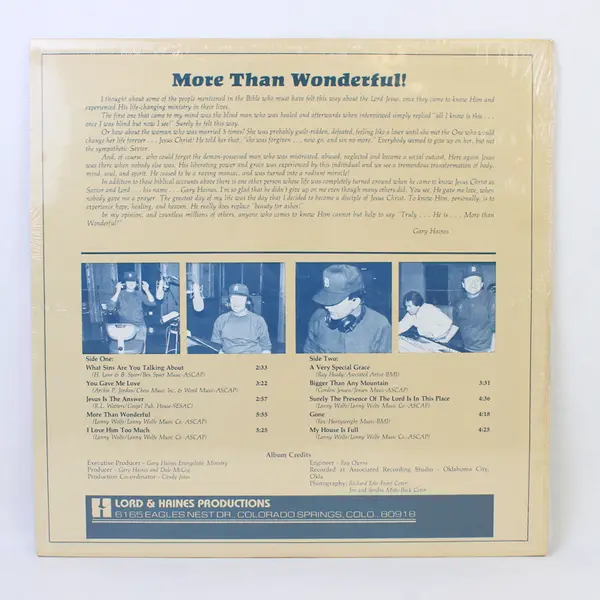Gary Haines More Than Wonderful 12"  Vinyl Record Sealed
