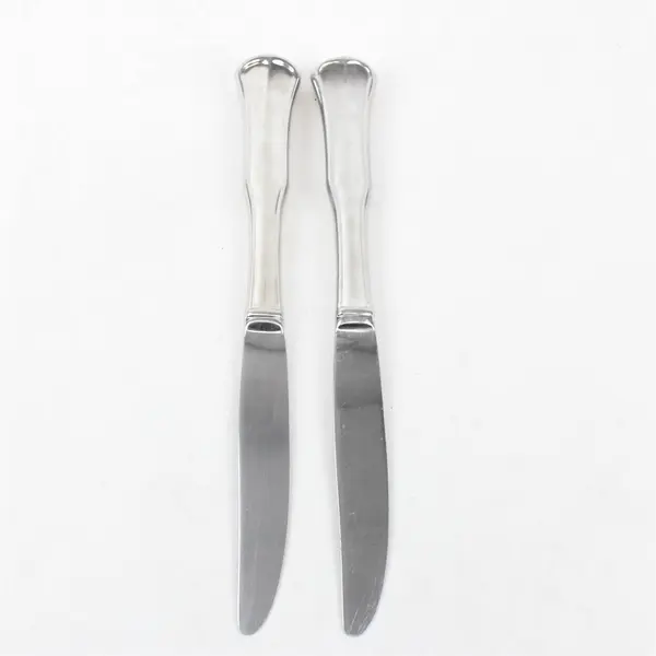 Lot of 2 Waterford Flatware Normandy Pattern Stainless Dinner Knives 9.75" Rare