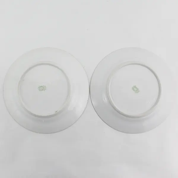 Set of 2 Antique Noritake China Salad Plates Pattern 11633