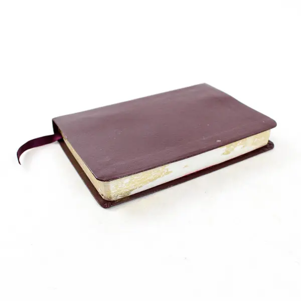 The Message New Testament w/ Psalms & Proverbs Peterson Pocket Burgundy