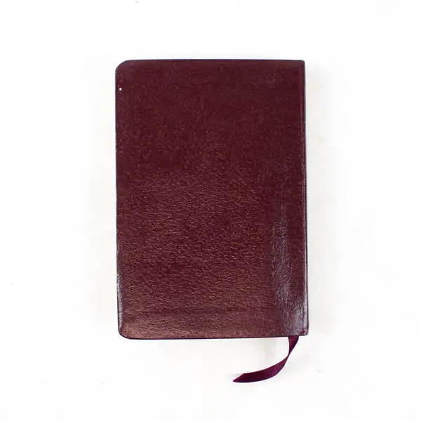 The Message New Testament w/ Psalms & Proverbs Peterson Pocket Burgundy