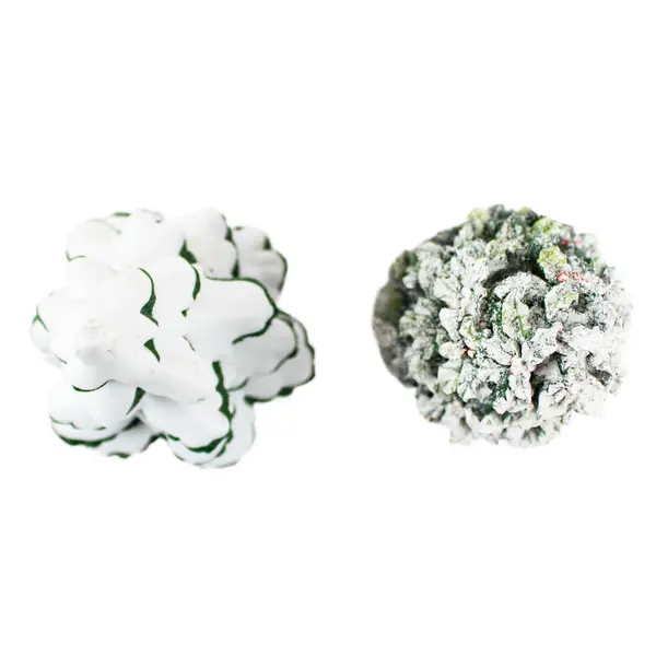 Lot Of 2 Department 56 Heritage Village Collection Porcelain 2 Christmas Trees