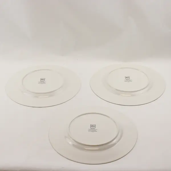 Lot Of 3 Mikasa Fruit Rapture Pattern Super Strong China Dinner Plates 11"
