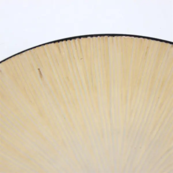 Set of 2 Port of Call 'Bombay' 11.5" Dinner Plates Rare Pattern