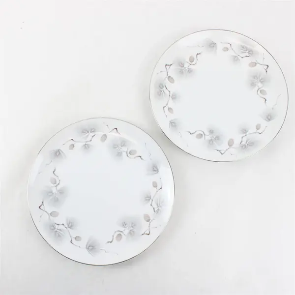Lot Of 2 Narumi Pinehurst Pattern Silver Trim Dinner Plates 10.5" Diameter