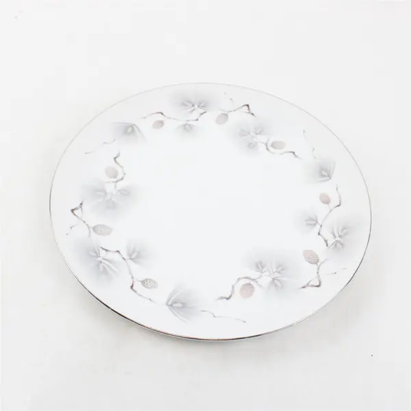 Lot Of 2 Narumi Pinehurst Pattern Silver Trim Dinner Plates 10.5" Diameter