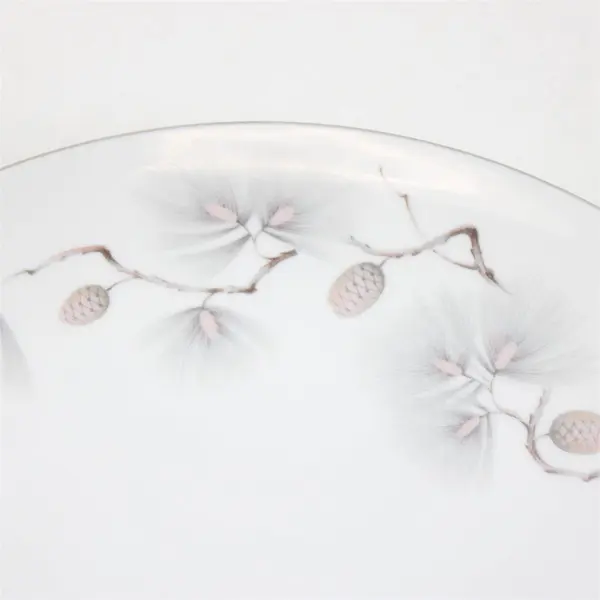 Lot Of 2 Narumi Pinehurst Pattern Silver Trim Dinner Plates 10.5" Diameter