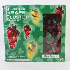 Darice 5 Lighted Red Grape Cluster Set Indoor Outdoor Lighting 6 Ft TESTED WORKS