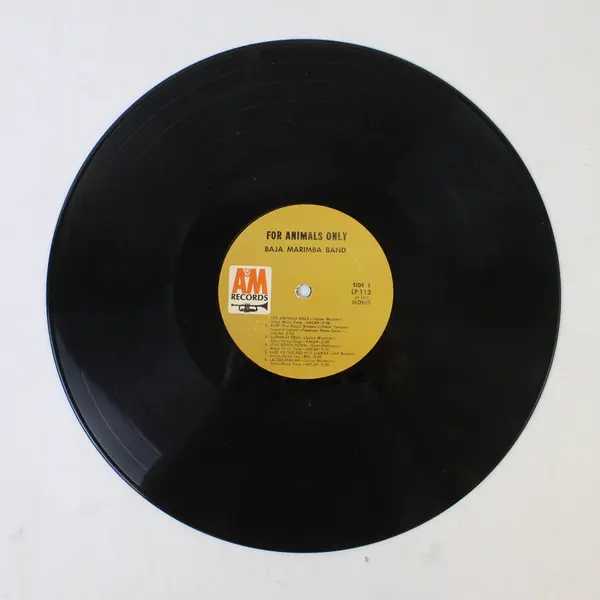 Baja Marimba Band For Animals Only 12" Vinyl Record
