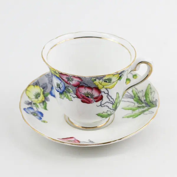 Rosina Bone China Footed Teacup & Saucer Pink Yellow Blue  Poppies England