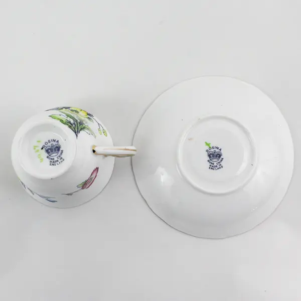 Rosina Bone China Footed Teacup & Saucer Pink Yellow Blue  Poppies England