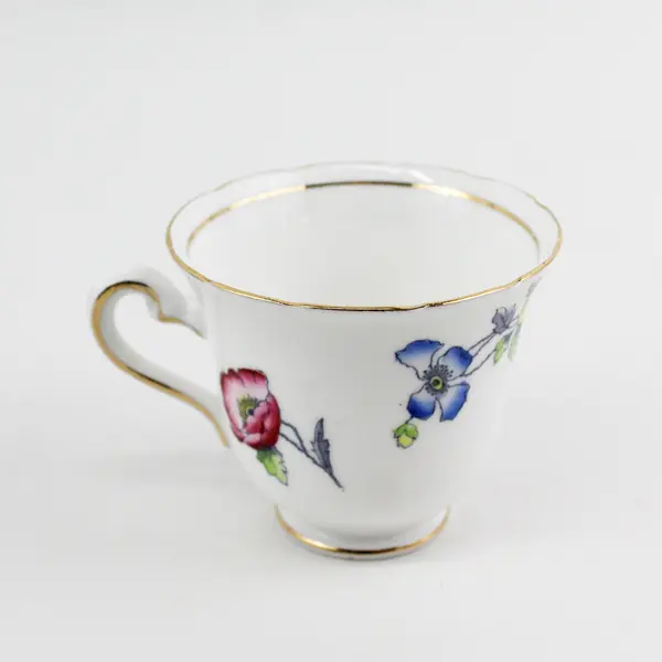 Rosina Bone China Footed Teacup & Saucer Pink Yellow Blue  Poppies England