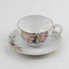 Vintage Nippon Wild Rose China Tea Cup And Saucer