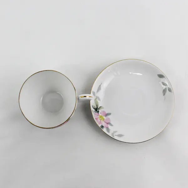 Vintage Nippon Wild Rose China Tea Cup And Saucer