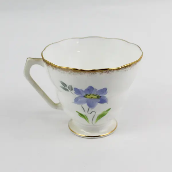 MCM Radfords Hand Painted Floral Footed  Bone China Cup And Saucer 