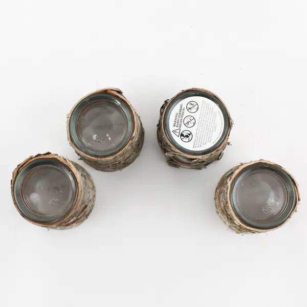 Set of 4 Birch Bark Tea Light Votive Candle Holders Rustic