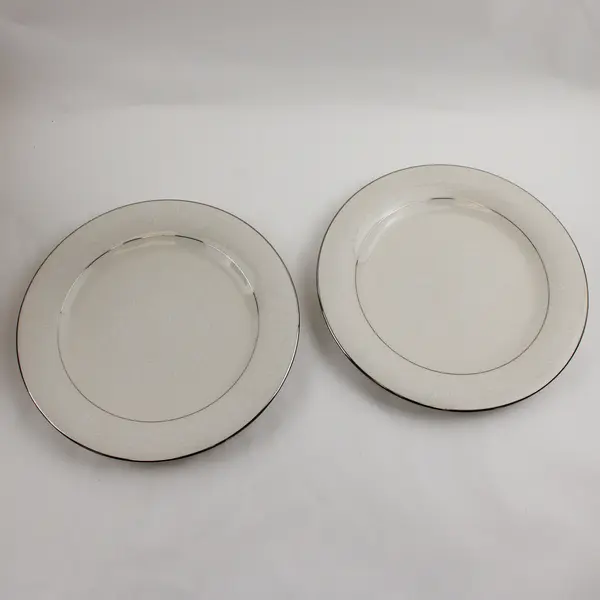 Set of 2 American Royalty Winterset Dinner Plates 10-5/8"