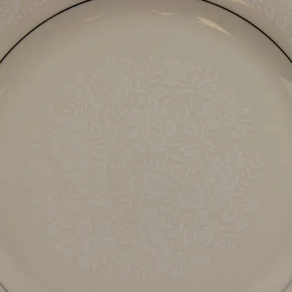 Set of 2 American Royalty Winterset Dinner Plates 10-5/8"