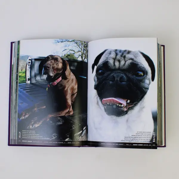 Wine Dogs USA Edition Dogs of NA Wineries McGill & Elliot 1st Ed 2006 Hardcover