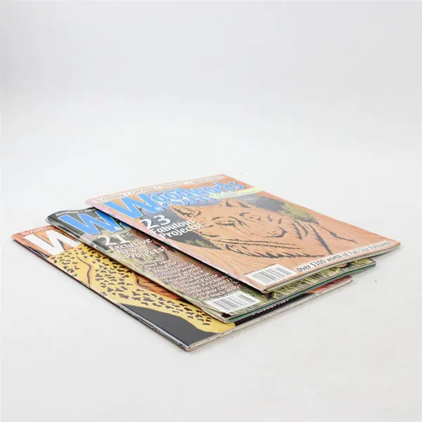Lot of 3 Creative Woodworks & Crafts Magazines Oct 2001 Nov 2001 Aug 2003