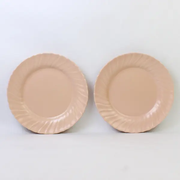 Set of 2 VTG Franciscan Coronado Beige Coral Matte Luncheon Plates 9-3/8"