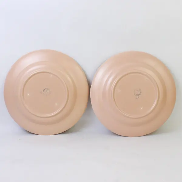 Set of 2 VTG Franciscan Coronado Beige Coral Matte Luncheon Plates 9-3/8"