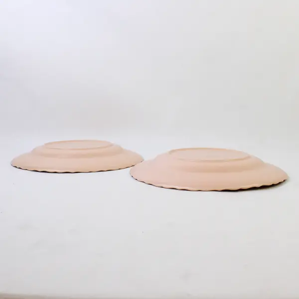 Set of 2 VTG Franciscan Coronado Beige Coral Matte Luncheon Plates 9-3/8"