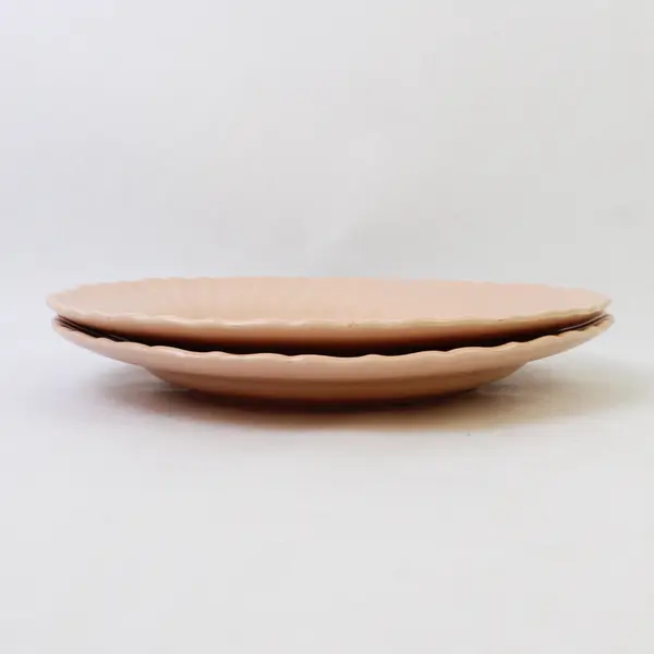 Set of 2 VTG Franciscan Coronado Beige Coral Matte Luncheon Plates 9-3/8"