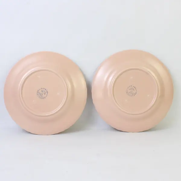 Set of 2 VTG Franciscan Coronado Beige Coral Matte Salad Plates 8-1/8"