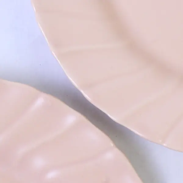 Set of 2 VTG Franciscan Coronado Beige Coral Matte Salad Plates 8-1/8"