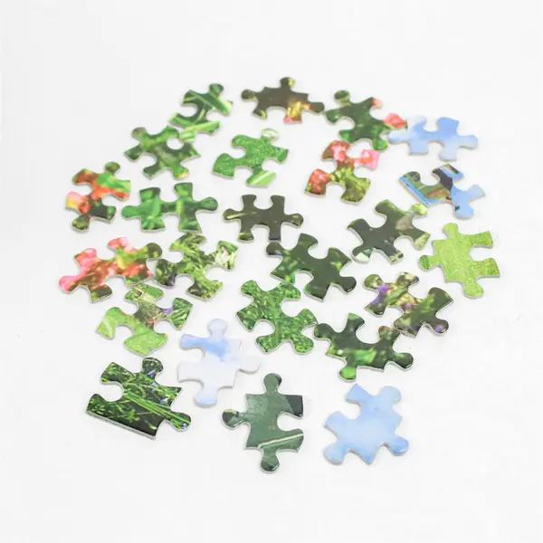 Hasbro Big Ben 2008 1000 Pc Jigsaw Puzzle Ducal Palace, France Complete