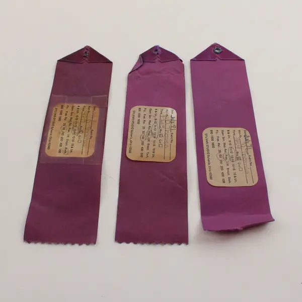 Lot Of 3 Vintage 1981 Portage Muskies Swim Club First Place Ribbons Michigan