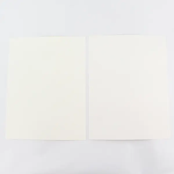 Lot Of 2 George W Bush Dick Cheney 2001 Inaugural Committee Invitations 