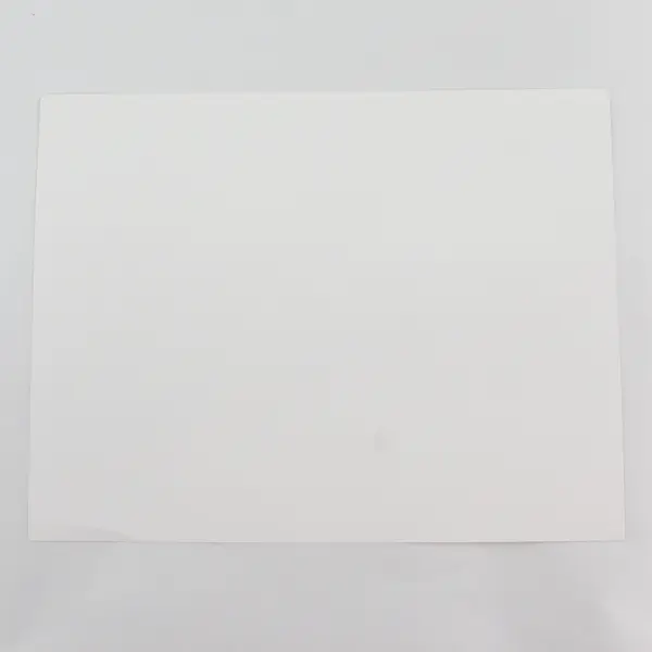 Vintage Bob and Elizabeth Dole Photo Supporter Thank You