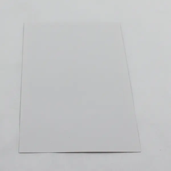 George W. Bush Dick Cheney Campaign Photo