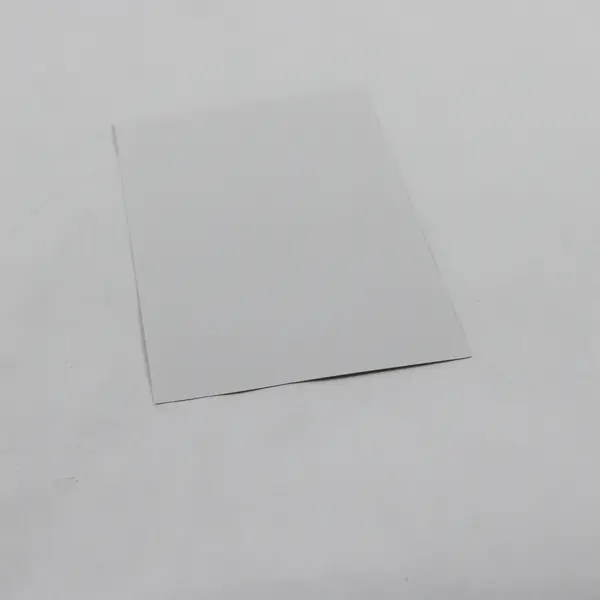 George W. Bush Dick Cheney Campaign Photo