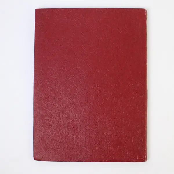 Vintage Cuprite Bisbee Senior High School Arizona Yearbook 1931 Hardcover