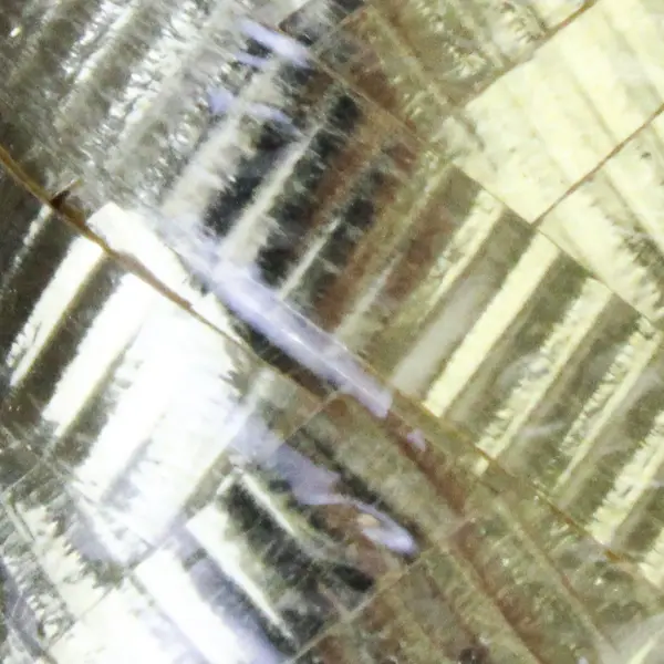 Lot of 2 Gold & Silver Shiny Ribbon Spools for Craft Gift Wrapping