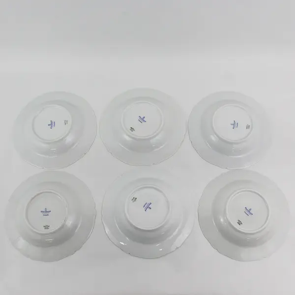 Set of 6 Vintage Haviland Limoges Centrelle wide Rim Soup or Cereal Bowls 8"