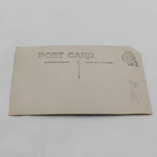 Antique 1910s RPPC Photo Postcard Cute Furry Dog In Backyard