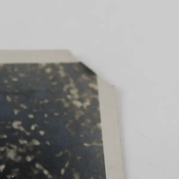 Antique 1910s RPPC Photo Postcard Cute Furry Dog In Backyard