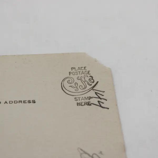 Antique 1910s RPPC Photo Postcard Cute Furry Dog In Backyard