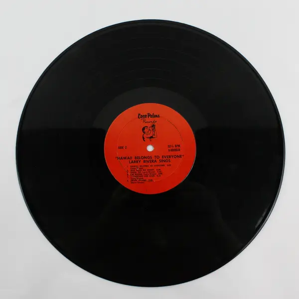 LARRY RIVERA Hawaii Belongs to Everyone 12" Vinyl Record