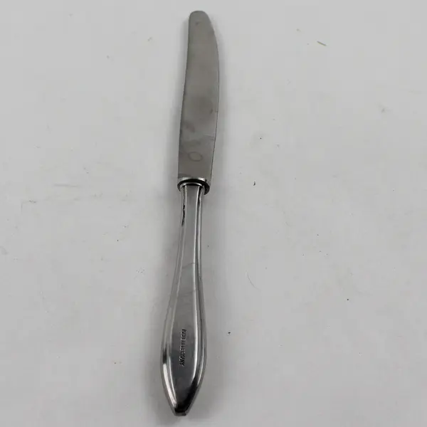 Vintage Solingen Flatware Stainless Butter Knife Unknown Rare HTF Pattern 7" 